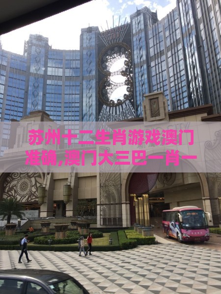 苏州十二生肖游戏澳门准确,澳门大三巴一肖一特学校宿舍条件量子计算释义、解释与落实-小心虚假夸大风
