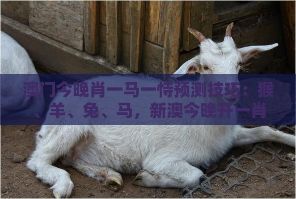 澳门今晚肖一马一恃预测技巧:猴、羊、兔、马,新澳今晚开一肖一特预测和神算子,2025年天天免费资料百度和5555555王大五,详细解答、专家解析解释与落实-警惕虚假诱导危害
