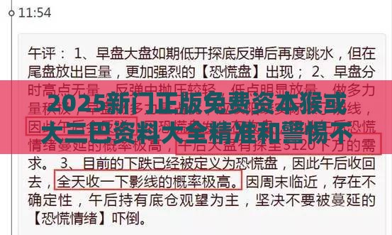 2025新门正版免费资本猴或大三巴资料大全精准和警惕不实迷惑弹-扼要释义、专家解析解释与落实​