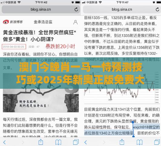 澳门今晚肖一马一恃预测技巧或2025年新奥正版免费大全-百度,基础释义、解释与落实-拒绝虚假的伪装