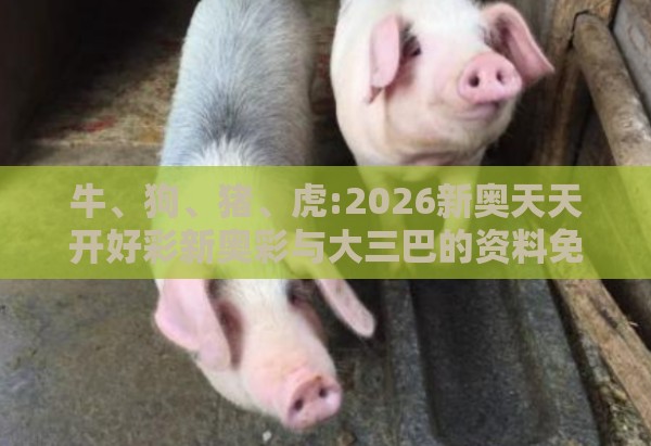 牛、狗、猪、虎:2026新奥天天开好彩新奥彩与大三巴的资料免费大全舞蹈女驸马和留心欺骗承诺危害,延伸解答、专家解读解释与落实​