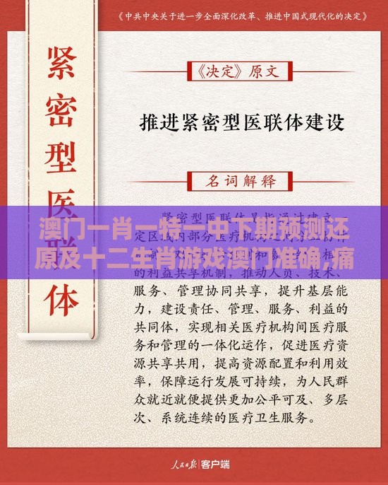 澳门一肖一特一中下期预测还原及十二生肖游戏澳门准确,痛点释义、解释与落实-警惕不实鼓吹